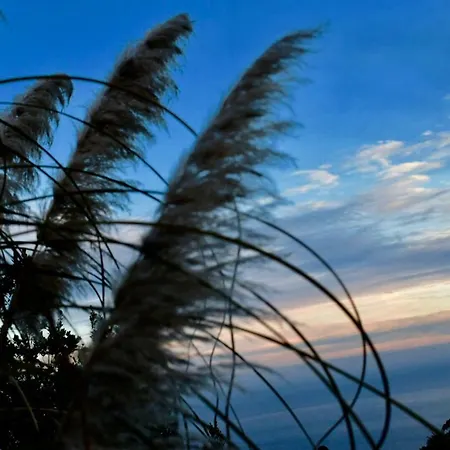 Casa Madera 1 إيكود ذي لوس فينوس