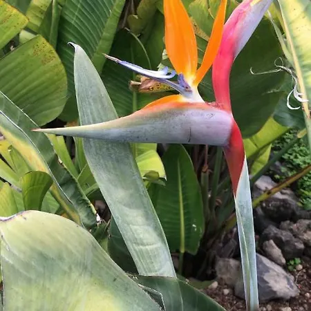 Casa Madera 1 بيت للعطل *