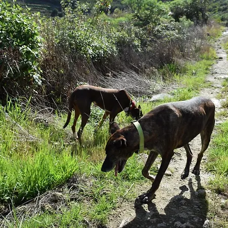 Casa Madera 1 بيت للعطل