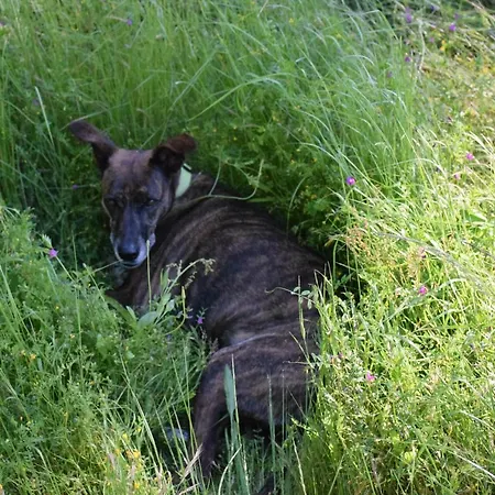 بيت للعطل Casa Madera 1 إيكود ذي لوس فينوس