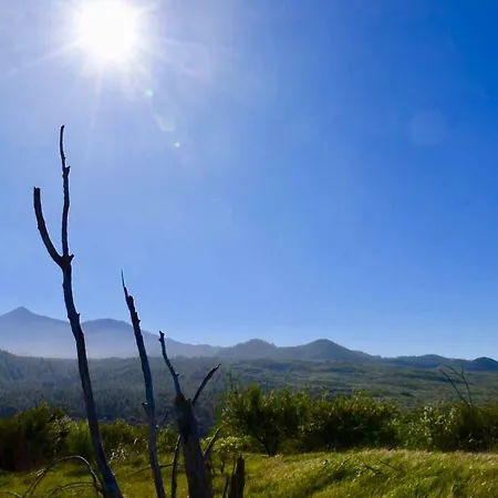 Semesterbostad Casa Madera 1 *