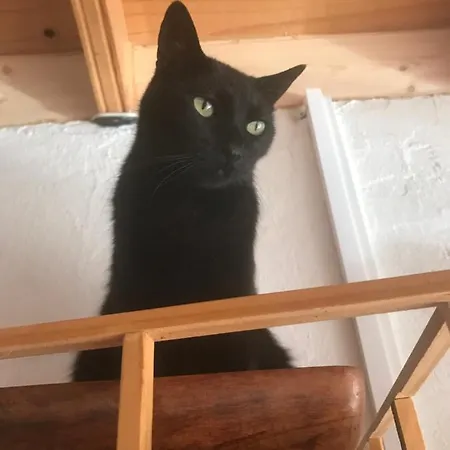 Casa Madera 1 Prázdninový dům
